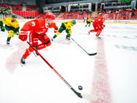 20230812 Vaasan Sähkö Areena Vaasa, FINLAND. LIIGA PRE-SEASON: Vaasan Sport - IF Björklöven Umeå.
Sport #80 Kalle Miketinac.
Photo: Samppa Toivonen / APOLLO PHOTO