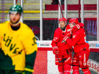 20230812 Vaasan Sähkö Areena Vaasa, FINLAND. LIIGA PRE-SEASON: Vaasan Sport - IF Björklöven Umeå.
Sport #17 Sebastian Stålberg & #55 Oskari Hult celebrating goal.
Photo: Samppa Toivonen / APOLLO PHOTO