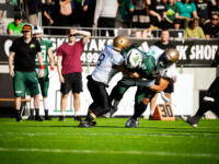 20230909 OmaSP Stadion Seinäjoki, FINLAND. VAAHTERAMALJA XLIV: Seinäjoki Crocodiles - Porvoo Butchers .
Photo: