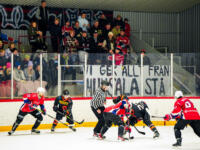 20231017 Uusikaarlepyy, FINLAND. SUOMI-SARJA: MuIK Hockey Munsala - Järvenpään Haukat.
MuIK supporters in the stands.
Photo: Samppa Toivonen / APOLLO PHOTO