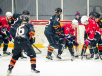 20231017 Uusikaarlepyy, FINLAND. SUOMI-SARJA: MuIK Hockey Munsala - Järvenpään Haukat.
MuIK #87 Christoffer Seppelin going for shot.
Photo: Samppa Toivonen / APOLLO PHOTO