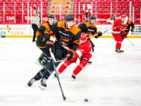 20231020 Vaasa, FINLAND. U20 SM-Sarja: Vaasan Sport - Kouvolan KooKoo.
KooKoo #34 Verneri Ahonen.
Photo: Samppa Toivonen / APOLLO PHOTO