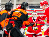 20231020 Vaasa, FINLAND. U20 SM-Sarja: Vaasan Sport - Kouvolan KooKoo.
Sport #35 Casimir Wekström.
Photo: Samppa Toivonen / APOLLO PHOTO