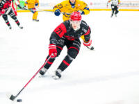 20231025 Vaasan Sähkö Areena Vaasa, FINLAND. LIIGA: Vaasan Sport - Rauman Lukko.
Sport #71 Viljami Nieminen
Photo: Samppa Toivonen / APOLLO PHOTO