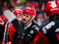 20231025 Vaasan Sähkö Areena Vaasa, FINLAND. LIIGA: Vaasan Sport - Rauman Lukko.
Sport #17 Sebastian Stålberg.
Photo: Samppa Toivonen / APOLLO PHOTO