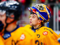 20231025 Vaasan Sähkö Areena Vaasa, FINLAND. LIIGA: Vaasan Sport - Rauman Lukko.
Lukko #34 Samuel Harvey.
Photo: Samppa Toivonen / APOLLO PHOTO