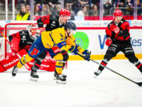 20231025 Vaasan Sähkö Areena Vaasa, FINLAND. LIIGA: Vaasan Sport - Rauman Lukko.
Lukko #62 Julius Mattila reaching for puck
Photo: Samppa Toivonen / APOLLO PHOTO