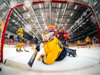 20231025 Vaasan Sähkö Areena Vaasa, FINLAND. LIIGA: Vaasan Sport - Rauman Lukko.
Sport celebrating goal against Lukko #34 Samuel Harvey.
Photo: Samppa Toivonen / APOLLO PHOTO