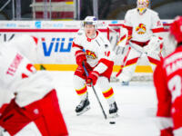 20231027 Vaasa, FINLAND. U20 SM-Sarja: Vaasan Sport - Helsingin Jokerit.
Jokerit #14 Lauri Toikka.
Photo: Samppa Toivonen / APOLLO PHOTO