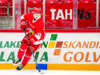 20231027 Vaasa, FINLAND. U20 SM-Sarja: Vaasan Sport - Helsingin Jokerit.
Sport #28 Oskari Hult
Photo: Samppa Toivonen / APOLLO PHOTO