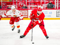 20231027 Vaasa, FINLAND. U20 SM-Sarja: Vaasan Sport - Helsingin Jokerit.
Sport #6 Axel Törmänen.
Photo: Samppa Toivonen / APOLLO PHOTO