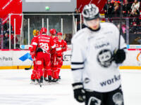20231117 Vaasan Sähkö Areena Vaasa, FINLAND. LIIGA: Vaasan Sport - TPS Turku.
Sport celebrating goal against TPS.
Photo: Samppa Toivonen / APOLLO PHOTO