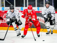 20231117 Vaasan Sähkö Areena Vaasa, FINLAND. LIIGA: Vaasan Sport - TPS Turku.
Sport #71 Viljami Nieminen and TPS #42 Jimi Suomi.
Photo: Samppa Toivonen / APOLLO PHOTO