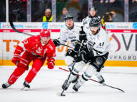 20231117 Vaasan Sähkö Areena Vaasa, FINLAND. LIIGA: Vaasan Sport - TPS Turku.
Sport #17 Sebastian Stålberg and TPS #44 Niklas Arell.
Photo: Samppa Toivonen / APOLLO PHOTO