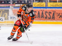 20231118 Hämeenlinna, FINLAND. LIIGA: HPK Hämeenlinna - Vaasan Sport.
Antti Pihlström #41, HPK skates during warm-up.
Photo: Mika Kylmäniemi / APOLLO PHOTO