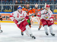 20231118 Hämeenlinna, FINLAND. LIIGA: HPK Hämeenlinna - Vaasan Sport.
Oskari Hult #55, Sport is wearing the Red Bull helmet as he’s the leading youth scorer of his team.
Photo: Mika Kylmäniemi / APOLLO PHOTO