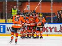 20231118 Hämeenlinna, FINLAND. LIIGA: HPK Hämeenlinna - Vaasan Sport.
Rony Ahonen #14, Eetu Tuulola #82, and Teemu Rautiainen #19, HPK celebrate their first goal against Sport in the first period.
Photo: Mika Kylmäniemi / APOLLO PHOTO