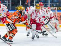 20231118 Hämeenlinna, FINLAND. LIIGA: HPK Hämeenlinna - Vaasan Sport.
Simon Hjalmarsson #11, Sport and Teemu Rautiainen #19, HPK speeding up after a faceoff.
Photo: Mika Kylmäniemi / APOLLO PHOTO