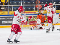 20231118 Hämeenlinna, FINLAND. LIIGA: HPK Hämeenlinna - Vaasan Sport.
Jesse Rantanen #86, Sport celebrates his goal against HPK.
Photo: Mika Kylmäniemi / APOLLO PHOTO