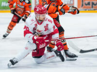 20231118 Hämeenlinna, FINLAND. LIIGA: HPK Hämeenlinna - Vaasan Sport.
Kalle Miketinac #80, Sport falls down while battling for the puck with a HPK player.
Photo: Mika Kylmäniemi / APOLLO PHOTO