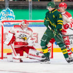 20250821 Visionite Arena, Umeå, Sweden. Preseason: IF Björklöven - Vaasan Sport
Vaasan Sport #1 Masi Härkönen
Vaasan Sport #77 Jasper Valtanen
Björklöven IF #39 Joel Mustonen
Photo: Pasi Suokko / APOLLO PHOTO