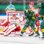 20250821 Visionite Arena, Umeå, Sweden. Preseason: IF Björklöven - Vaasan Sport
Vaasan Sport #1 Masi Härkönen
Vaasan Sport #77 Jasper Valtanen
Björklöven IF #39 Joel Mustonen
Björklöven IF #56 Fredrik Forsberg
Photo: Pasi Suokko / APOLLO PHOTO