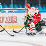 20250821 Visionite Arena, Umeå, Sweden. Preseason: IF Björklöven - Vaasan Sport
Vaasan Sport #3 Charles Bertrand
Björklöven IF #26 Oliwer Sjöström
Björklöven IF #18 Axel Ottosson
Björklöven IF #31 Olle Eriksson
Photo: Pasi Suokko / APOLLO PHOTO