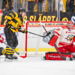 20250822 Kraft Arena, Skellefteå, Sweden. Preseason: Skellefteå AIK - Vaasan Sport
Vaasan Sport #95 Miroslav Svoboda
Skellefteå AIK #96 Rickard Hugg
Vaasan Sport #52 Valtteri Hietanen
Skellefteå AIK #29 Mikkel Aagaard
Photo: Pasi Suokko / APOLLO PHOTO