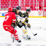 20250807 Vaasan Sähkö Areena Vaasa, FINLAND. LIIGA PRE-SEASON: Vaasan Sport - Oulun Kärpät.
Oulun Kärpät #55 Atte Ohtamaa hits Vaasan Sport #33 Matti Härmä
Photo: Samppa Toivonen / APOLLO PHOTO