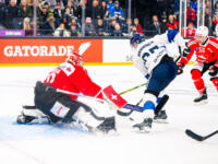 20251106 Tampere, FINLAND. EURI HOCKEY TOUR: Team Switzerland - Team Finland.
Team Switzerland #20 Rero Berra, Team Finland #65 Sakari Manninen
Photo: Samppa Toivonen / APOLLO PHOTO
