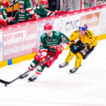 20251129 Vaasan Sähkö Areena Vaasa, FINLAND. LIIGA: Vaasan Sport - Kuopion KalPa.
Vaasan Sport #28 Johan Sundström, Kuopion KalPa #12 Joona Saarelainen
Photo: Samppa Toivonen / APOLLO PHOTO