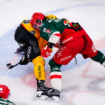 20251129 Vaasan Sähkö Areena Vaasa, FINLAND. LIIGA: Vaasan Sport - Kuopion KalPa.
Kuopion KalPa #14 Jaakko Lantta vs. Vaasan Sport #3 Charles Bertrand
Photo: Samppa Toivonen / APOLLO PHOTO