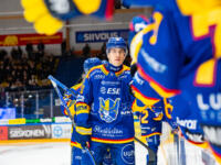 20251217 Mikkeli, FINLAND. LIIGA: Mikkelin Jukurit - Vaasan Sport
Jukurit #20 Justin Addamo
Photo: Pasi Suokko / APOLLO PHOTO