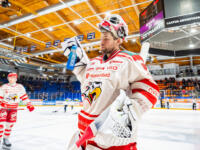 20251217 Mikkeli, FINLAND. LIIGA: Mikkelin Jukurit - Vaasan Sport
Sport #31 Joni Ortio
Photo: Pasi Suokko / APOLLO PHOTO