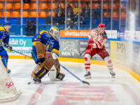 20251217 Mikkeli, FINLAND. LIIGA: Mikkelin Jukurit - Vaasan Sport
Sport #33 Matti Härmä
Jukurit #29 Evan Buitenhuis
Jukurit #7 William Worge Kreü
Photo: Pasi Suokko / APOLLO PHOTO