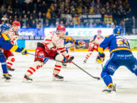 20251217 Mikkeli, FINLAND. LIIGA: Mikkelin Jukurit - Vaasan Sport
Sport #4 Miika Tiihonen
Jukurit #53 Niko Korkola
Photo: Pasi Suokko / APOLLO PHOTO