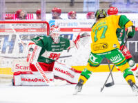 20251227 Vaasa, FINLAND. LIIGA: Vaasan Sport - Tampereen Ilves
Sport #1 Masi Härkönen
Sport #7 Hannes Häkkilä
Ilves #17 Samuli Ratinen
Photo: Pasi Suokko / APOLLO PHOTO