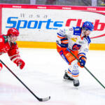 20251219 Vaasan Sähkö Areena Vaasa, FINLAND. LIIGA: Vaasan Sport - Tampereen Tappara.
Tampereen Tappara #17 Ondrej Pavel
Photo: Samppa Toivonen / APOLLO PHOTO